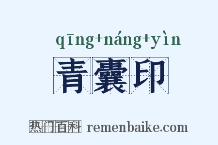 青囊印是什么意思的图片